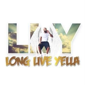 Meet your Posher, Wolf